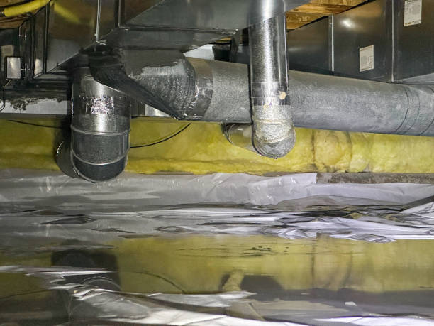Best Flood restoration services  in Holden, MO