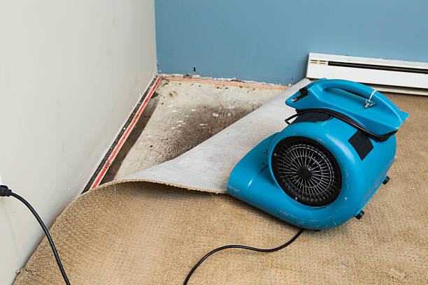 Best Flooded house restoration  in Holden, MO